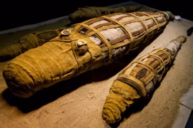 Phát hiện bất ngờ bên trong xác cá sấu 3.000 tuổi