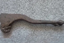 Phát hiện dụng cụ khoan hộp sọ cách nay 2.300 năm