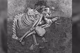 Giải mã sốc về bữa tiệc của người xưa cách nay 2.500 năm