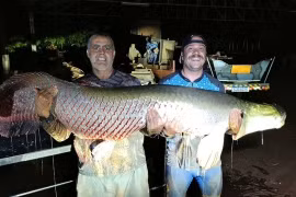 'Quái ngư' khổng lồ gần 130 kg dính câu, ngư dân vật vã đưa vào bờ