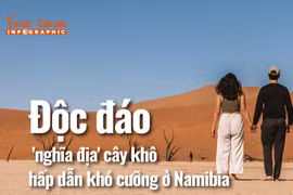 [INFOGRAPHIC] Độc đáo 'nghĩa địa' cây khô hấp dẫn khó cưỡng ở Namibia