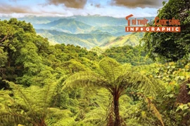 [INFOGRAPHIC] Khám phá Khu Dự trữ thiên nhiên Động Châu - Khe Nước Trong