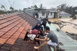 Mưa lũ lịch sử ở Gia Lai: Nhiều người tử vong, nhiều nơi vẫn bị chia cắt