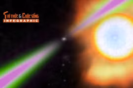 [INFOGRAPHIC] Hành tinh hình quả chanh tích tụ kim cương sâu trong lõi