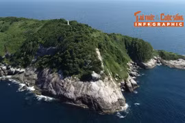 [INFOGRAPHIC] Đảo Rắn tử địa ngoài khơi Brazil với hàng nghìn rắn độc