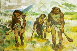 Phân tích ADN hé lộ bất ngờ về 2 bộ hài cốt chôn cùng mộ cổ