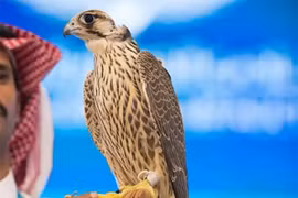 Ngoài bồ câu 35 tỷ, thế giới còn những loài vật nào có giá ‘khủng’?