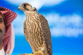 Ngoài bồ câu 35 tỷ, thế giới còn những loài vật nào có giá ‘khủng’?