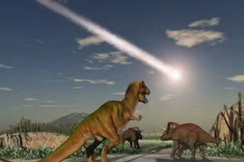 Hóa thạch quý hiếm ở New Mexico hé lộ bí mật loài khủng long