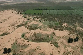 Điều bất ngờ về 'Vạn Lý Trường Thành Xanh' của Trung Quốc 