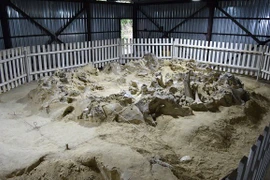 Bí ẩn 4 tòa nhà cổ 18.000 năm xây từ xương quái thú