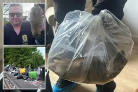 Kinh hoàng chuột khổng lồ gây "náo loạn" ở Anh 