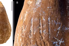 Bí ẩn 'bút chì màu' thời Đồ đá tìm thấy ở Crimea