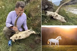  Phát hiện hộp sọ có sừng kỳ lạ gần lâu đài Vua Arthur