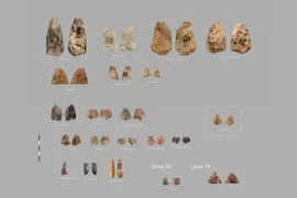 Phát hiện vũ khí 80.000 năm hé lộ bí ẩn người Neanderthal cổ đại