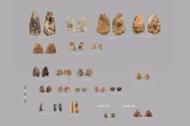 Phát hiện vũ khí 80.000 năm hé lộ bí ẩn người Neanderthal cổ đại