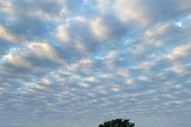 Mây gợn sóng kỳ lạ liên tục xuất hiện ở Hà Nội