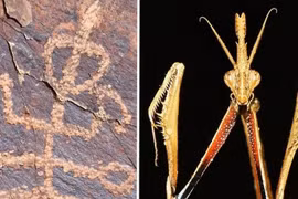 Báu vật thời tiền sử mô tả sinh vật lai bí ẩn