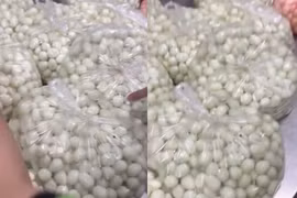 Hiệu trưởng chính thức xin lỗi sau vụ 'thịt ôi, trứng hỏng'