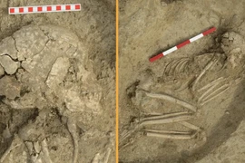 Thiếu niên sống sót kỳ diệu sau khi bị sư tử tấn công 6.200 năm trước