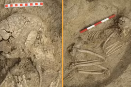 Thiếu niên sống sót kỳ diệu sau khi bị sư tử tấn công 6.200 năm trước