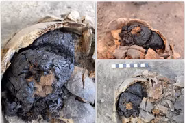  Phát hiện bộ não cổ đại nguyên vẹn sau hơn 4.000 năm chôn vùi