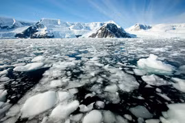 Chuyên gia hé lộ vi sinh vật có khả năng sinh tồn đặc biệt ở Nam Cực