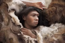 Khám phá bất ngờ về hành trình di cư của người Neanderthal