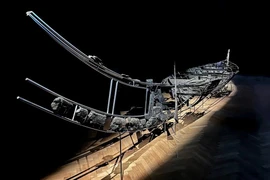 Ba bí ẩn thế kỷ đánh đố nhân loại được giải mã trong năm 2025