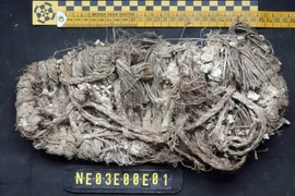 Bất ngờ tìm thấy chiếc dép 650 năm tuổi trong tổ kền kền