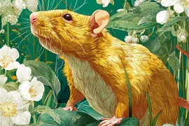 May mắn nhất tháng 6 Nhuận gọi tên 3 con giáp nào?