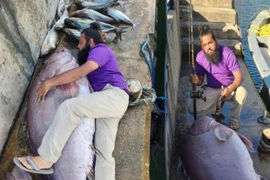 Tóm gọn "lộc biển" khủng 149kg, ngư dân trúng đậm