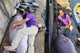 Tóm gọn "lộc biển" khủng 149kg, ngư dân trúng đậm