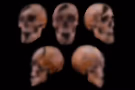 'Nội soi' hài cốt Công tước Hungary hé lộ cái chết tàn bạo