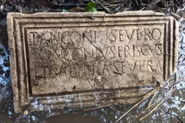 Đi tìm măng tây, cựu lính cứu hỏa phát hiện khảo cổ quý hiếm