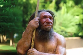 Chuyên gia tuyên bố người Neanderthal 'chưa thực sự tuyệt chủng'