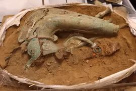 Tìm thấy nhạc cụ cực hiếm liên quan đến nữ hoàng Celtic