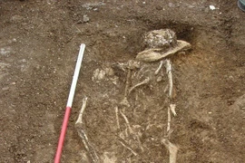 ADN cổ đại hé lộ lộ tổ tiên của người dân Anh thời Trung cổ