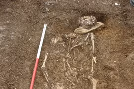 ADN cổ đại hé lộ lộ tổ tiên của người dân Anh thời Trung cổ