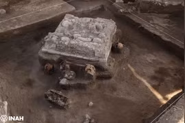 Tìm thấy bằng chứng về lễ hiến tế của nền văn minh cổ xưa