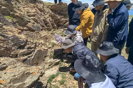 Giật mình bằng chứng Tần Thủy Hoàng tìm kiếm thuốc trường sinh bất tử