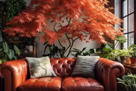 Làm 4 điều này để hút vận may, tăng dương khí tháng 7 Âm lịch