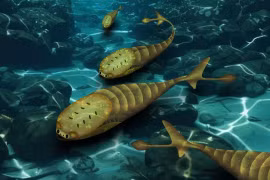 Vì sao loài cá đột ngột xuất hiện trên Trái đất 420 triệu năm trước