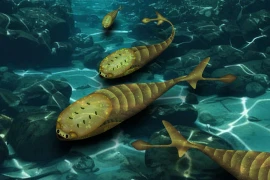 Vì sao loài cá đột ngột xuất hiện trên Trái đất 420 triệu năm trước