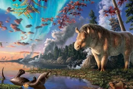 Hóa thạch cổ hé lộ loài tê giác mới từng phân bố ở Bắc Cực 