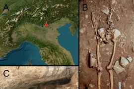 'Nội soi' thi hài 17.000 tuổi, phát hiện sự thật động trời 