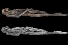 Bí ẩn xác ướp có hình xăm phức tạp cách đây 2.300 năm