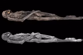 Bí ẩn xác ướp có hình xăm phức tạp cách đây 2.300 năm