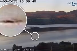 Thủy quái hồ Loch Ness bất ngờ trồi lên giữa ban ngày