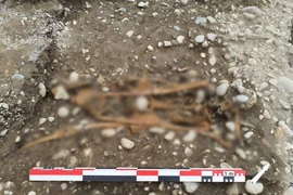 Tìm thấy ít nhất 32 bộ hài cốt ở Pháp chứa sự thật rùng rợn